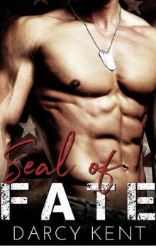 SEAL of Fate: A Navy SEAL Romance