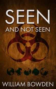 Seen And Not Seen (The Veil Book 1)