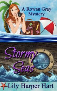 Stormy Seas (A Rowan Gray Mystery Book 3)