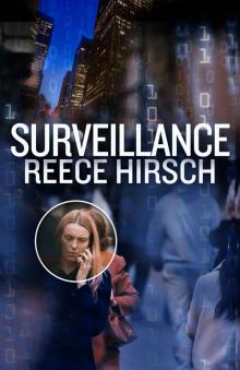 Surveillance (A Chris Bruen Novel Book 3)