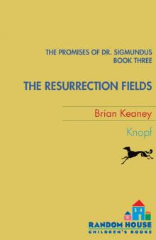 The Resuurection Fields