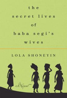 The Secret Lives of Baba Segi's Wives