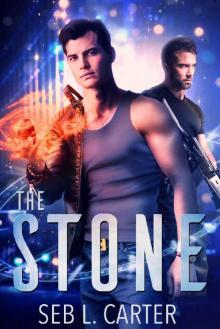 The Stone (Lockstone Book 1)