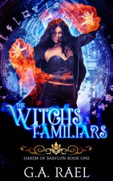 The Witch's Familiars_A Reverse Harem Fantasy