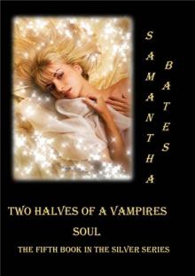 Two Halves of a A Vampires Soul (The Silver Series)