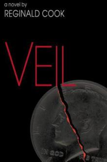 Veil v-1