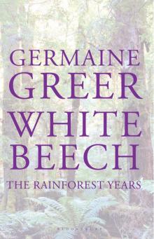 White Beech: The Rainforest Years