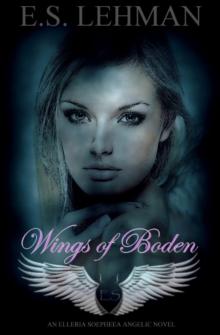 Wings of Boden