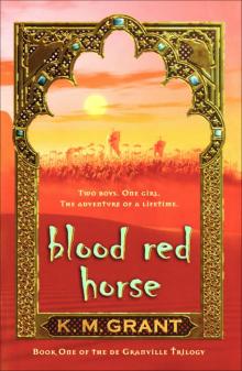 A Blood Red Horse