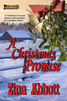 A Christmas Promise