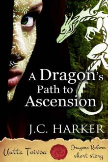 A Dragon's Path to Ascension