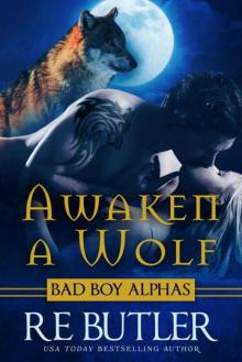 Awaken a Wolf (Wiccan-Were-Bear Book 9)