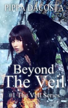 Beyond The Veil (The Veil Series)