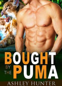 Bought by the Puma (Studly Shifters Book 1)