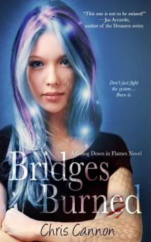 Bridges Burned (Entangled Teen) (Going Down in Flames)