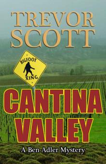 Cantina Valley (A Ben Adler Mystery Book 1)