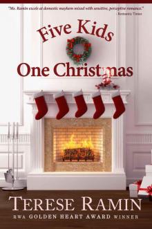 Five Kids, One Christmas (The Brannigan Sisters)