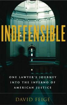 INDEFENSIBLE: One Lawyer's Journey Into the Inferno of American Justice