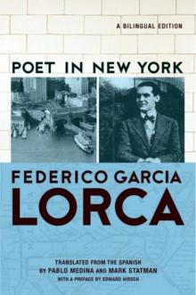 Poet in New York: A Bilingual Edition