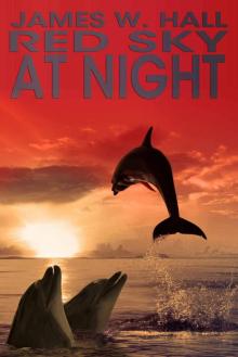 Red Sky At Night (Thorn Series Book 6)