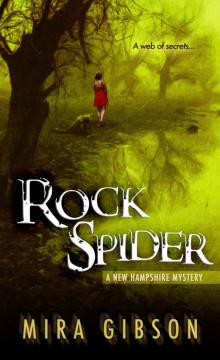 Rock Spider (A New Hampshire Mystery Book 2)