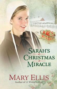 Sarah's Christmas Miracle