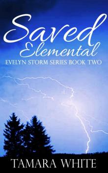 Saved Elemental (Evelyn Storm Series Book 2)