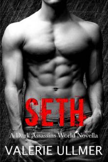 Seth (Dark Assassins #2.5)