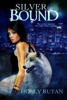 Silver Bound (Sammy Davis Book 1)