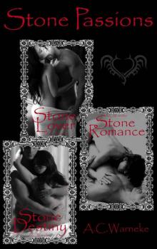 Stone Passions Trilogy (Stone Passion 1, 2, & 3)