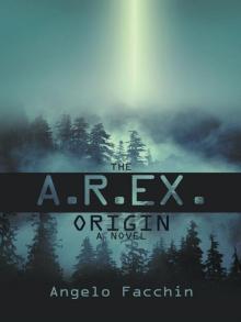 The A.R.EX. Origin