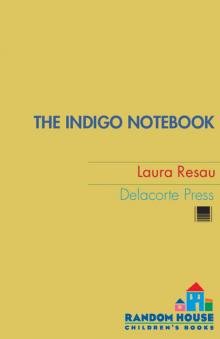 The Indigo Notebook