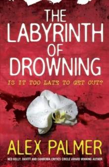 The Labyrinth of Drowning hag-3