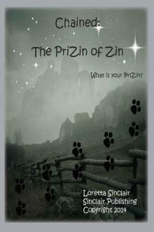 The PriZin of Zin