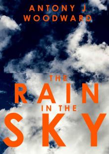 The Rain In The Sky