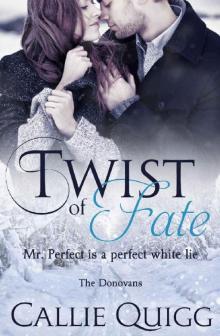 Twist of Fate (The Donovans Book 1)