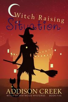 Witch Raising Situation (Witch of Mintwood Book 5)