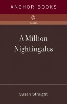 A Million Nightingales