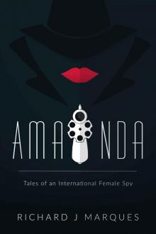 Amanda: Tales of an international female spy