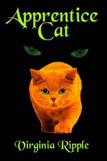 Apprentice Cat: Toby's Tale Book 1 (Master Cat Series)