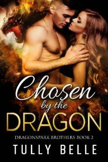 Chosen by the Dragon (Dragonspark Brothers Book 2)