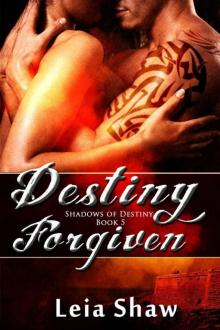 Destiny Forgiven (Shadows of Destiny)