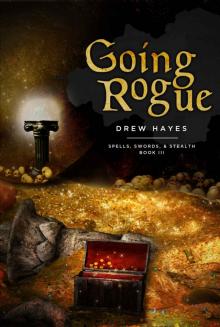 Going Rogue (Spells, Swords, & Stealth Book 3)