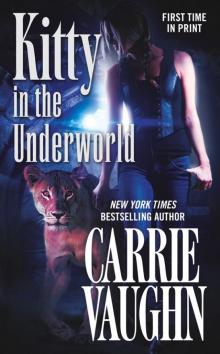 Kitty in the Underworld kn-12