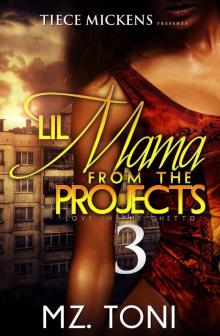 Lil Mama From The Projects 3