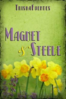 Magnet & Steele