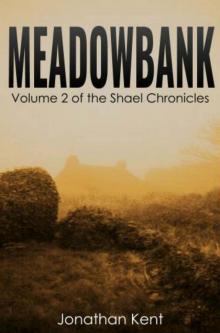 Meadowbank: A dark fantasy thriller (The Shael Chronicles Book 2)