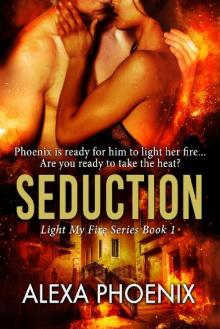 Seduction: Light My Fire Series Book #1