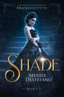 Shade_A Re-Imagining of Mary Shelley's Frankenstein