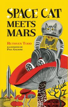 Space Cat Meets Mars